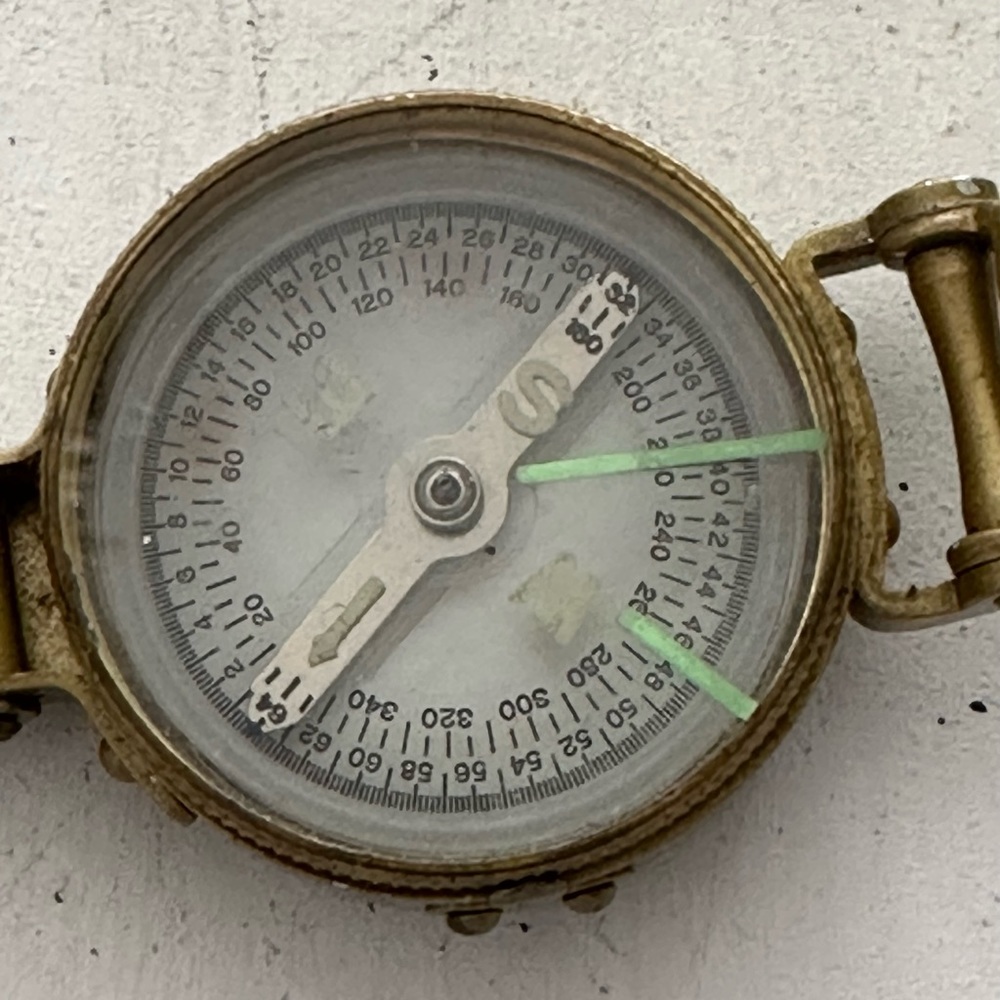 LINSATIC COMPASS Liquid Filled, Made in Japan